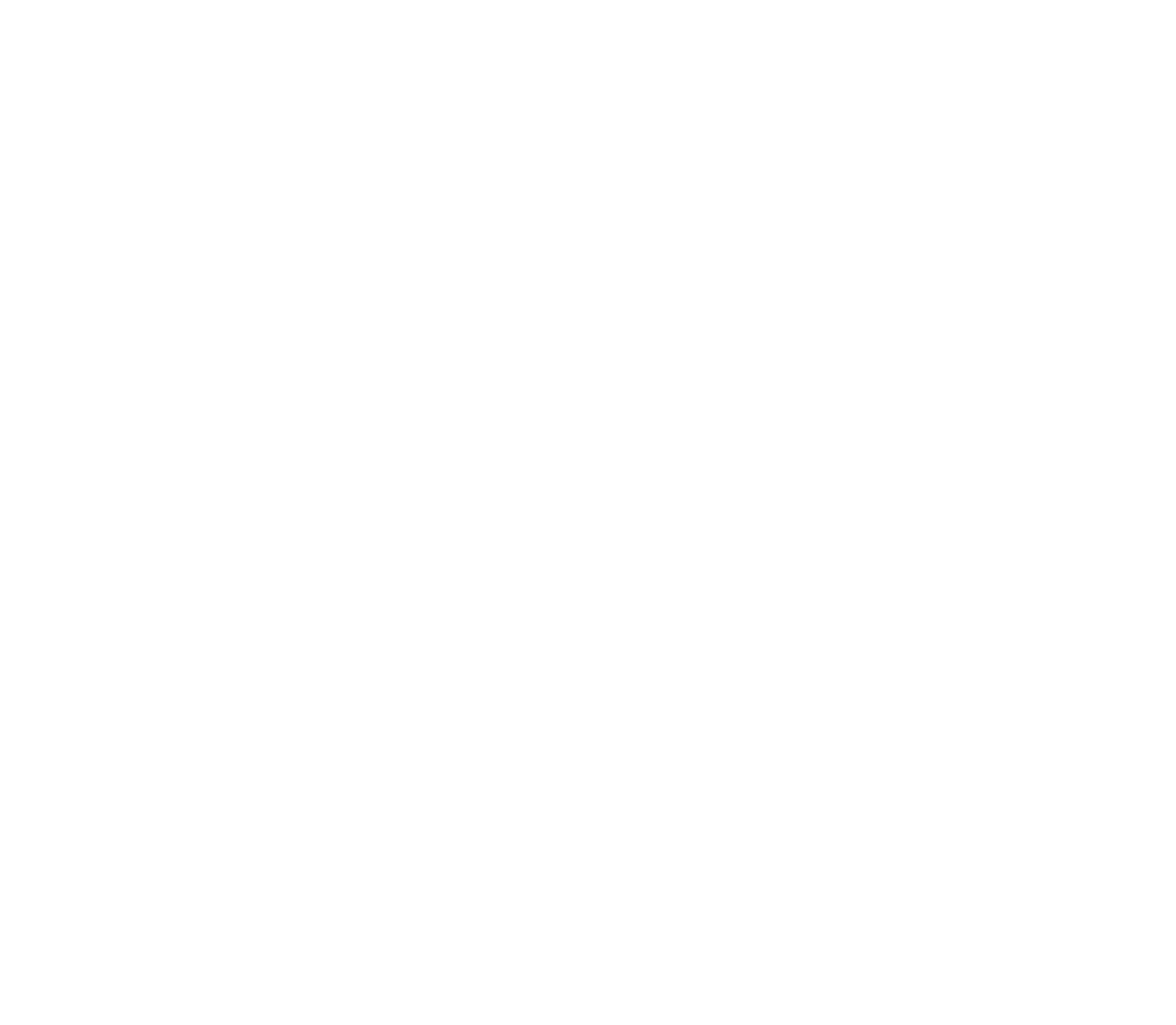 Vader Security